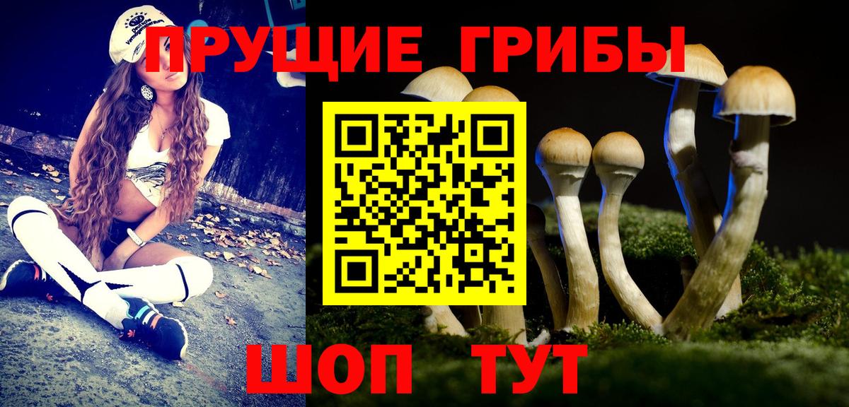 Псилоцибиновые грибы Cubensis  Вход с VPN  где можно купить наркотик  Павловский Посад 