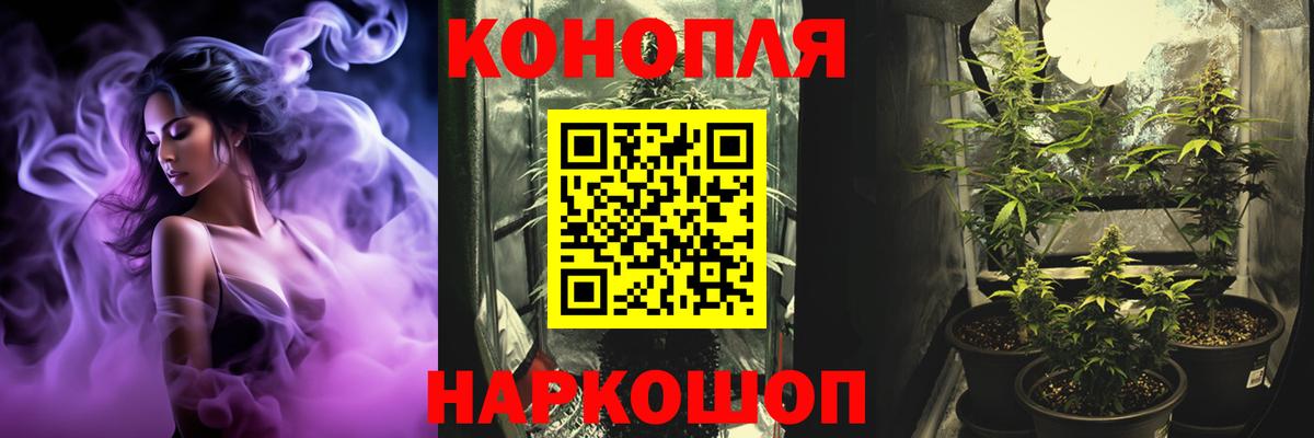 Бошки марихуана индика  Вход с VPN  Павловский Посад  Канабис сатива  Марихуана планчик 